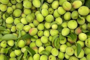 Loại quả Việt có tác dụng hỗ trợ giảm mỡ đang vào mùa bán đầy chợ giá chỉ vài chục ngàn đồng/kg