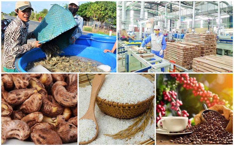 Doanh nghiệp Việt mất lợi thế vì chi phí xuất nhập khẩu tăng mạnh