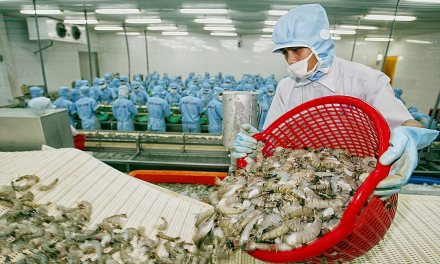 Việt Nam xuất thủy sản nhiều nhất sang Mỹ
