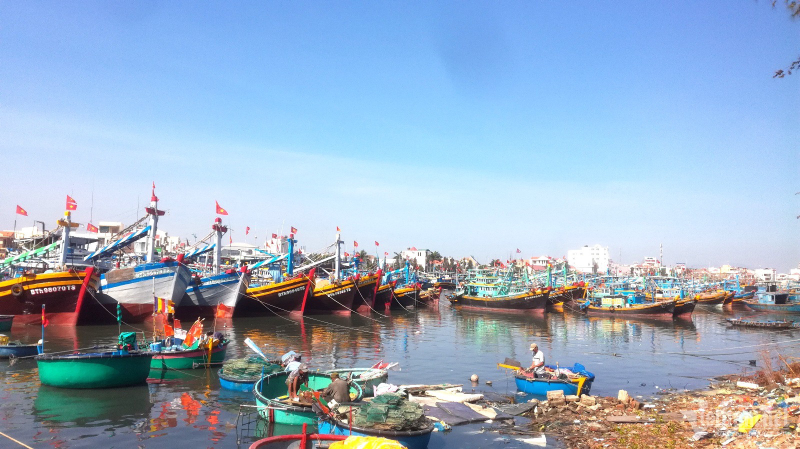 Nếu Việt Nam bị 'thẻ đỏ' IUU, xuất khẩu hải sản hết đường sang EU