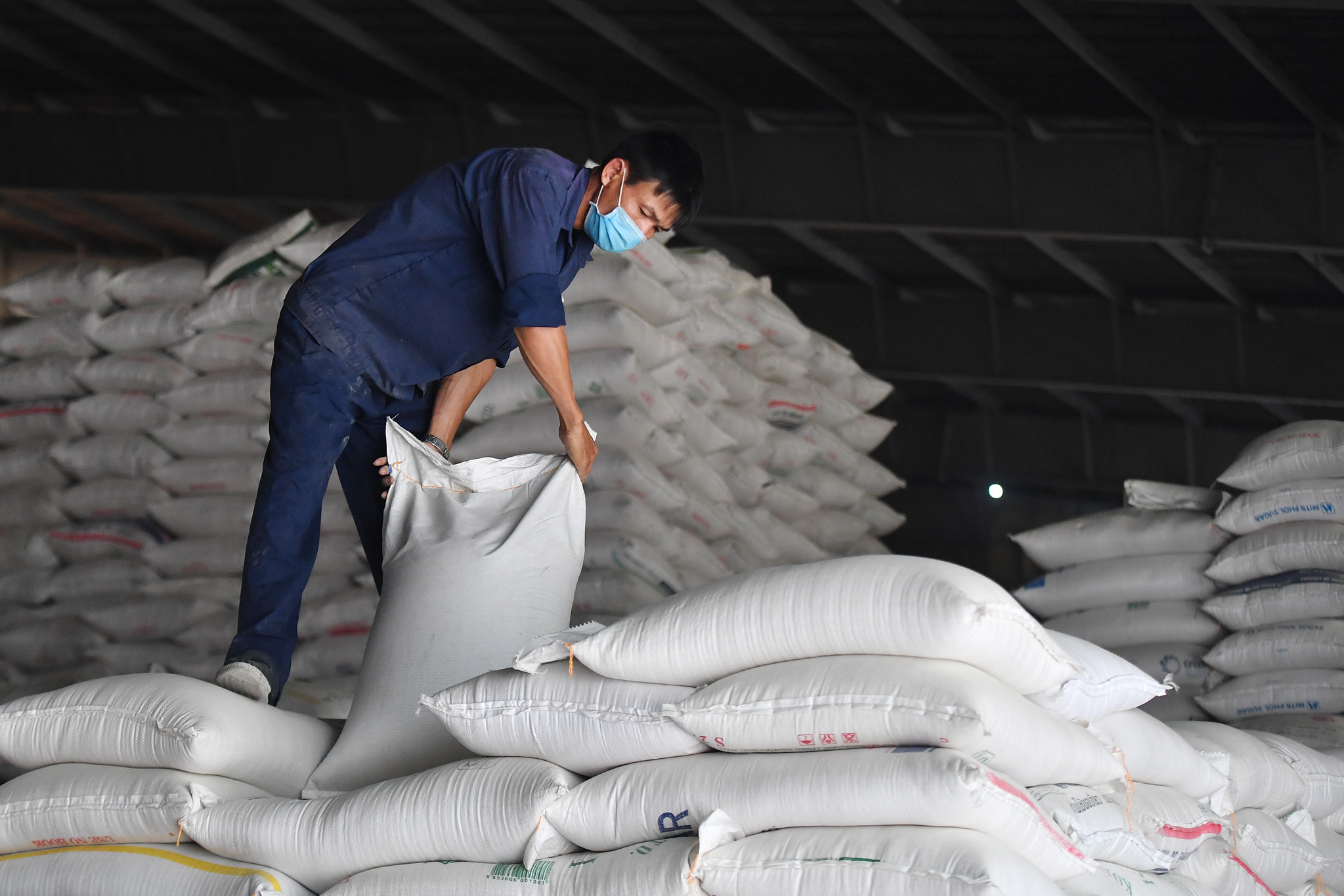 Nghịch lý giá lợn hơi giảm sâu nhưng thịt lợn ở chợ đắt gấp 3 lần