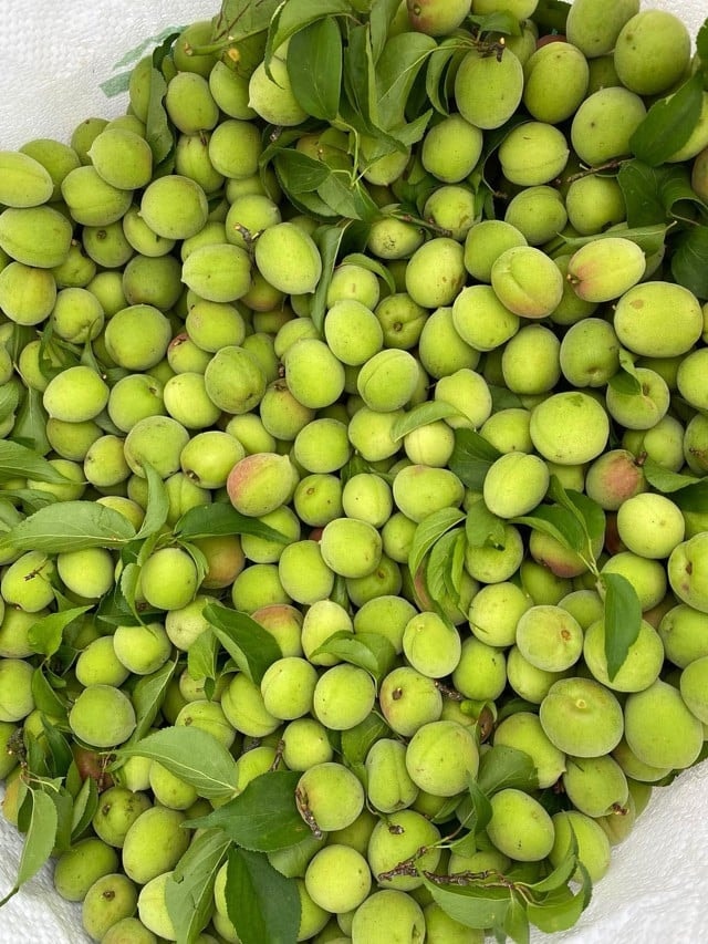 Loại quả Việt có tác dụng hỗ trợ giảm mỡ đang vào mùa bán đầy chợ giá chỉ vài chục ngàn đồng/kg